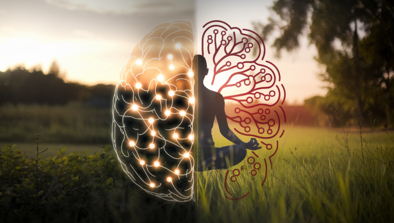Immunity and Mental Health: The Mind-Body Connection